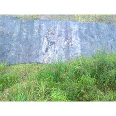 batubara/ steam coal