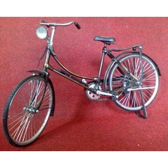 sepeda cewek