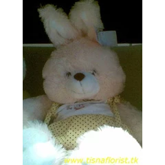 boneka teddy bear, hadiah valentine, hadiah ulang tahun, bunga rangkaian mawar, selamat tahun baru di denpasar bali