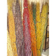 bambu cendani / bambu inul