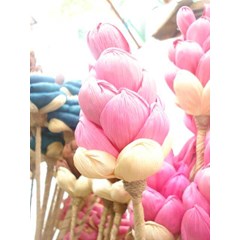 bunga kering serat alami