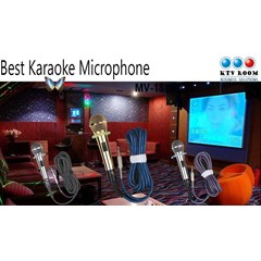 professional karaoke microphone( ktv 660)
