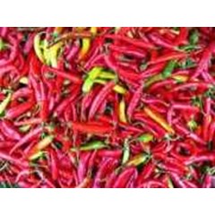 cabe merah