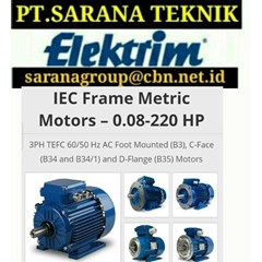 elektrim cantoni pt sarana teknik electric motor b35 foot and flange mounted