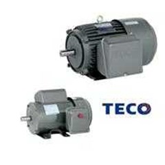 teco motor