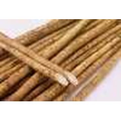 burdock china