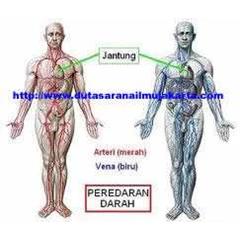smp033 - biologi ( 8)