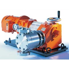 prominent pumps