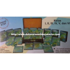 sdp012 - pesona ipa interaktif ( 22)