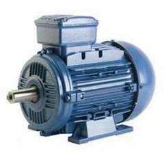 weg motor