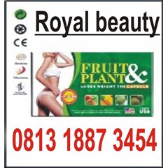 fruit plant pelangsing badan