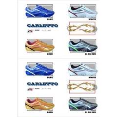 record carletto