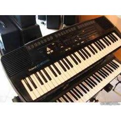 roland e 16 mulus