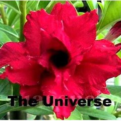 triple universe