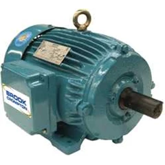brook hansen motor , brook hansen electric motor
