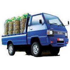 isuzu bison