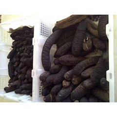 dried sea cucumber ( hoisum)