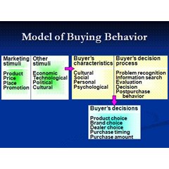 consumer behavior research