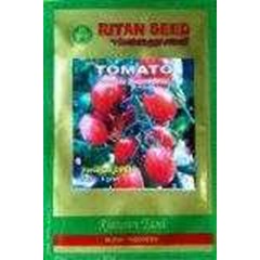 benih tomato var. opal ritan seed