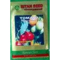 benih tomatvar. gondol ritan seed