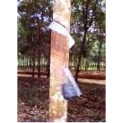 rf eaves rubber rain guard