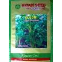 benih sledri ritan seed