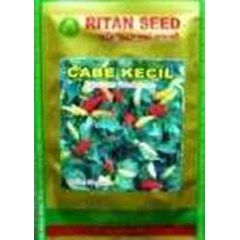 benih cabe kecil putih ritan seed