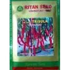 benih cabe besar trisula ritan seed