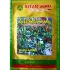 benih cabe kecil hijau ritan seed
