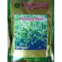 benih kangkung darat ritan seed