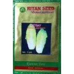 benih petsay ritan seed