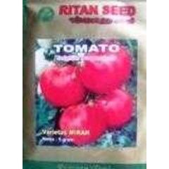 benih tomat var.mirah ritan seed