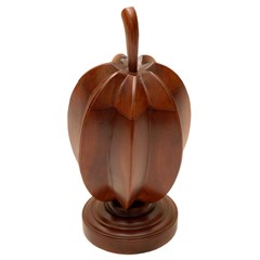 toples belimbing