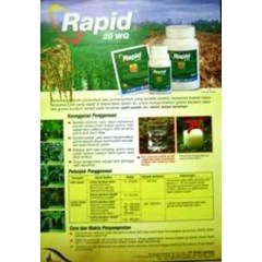 rapid 20 wg