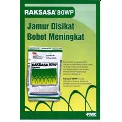 raksasa 80 wp