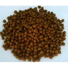 pakan ikan