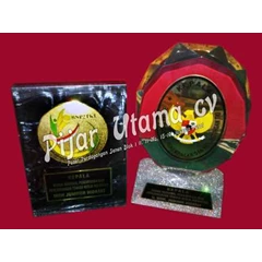 plakat bnp2tki