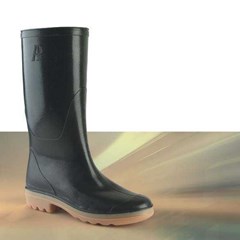 ap boot 9303