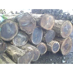 log sonokeling