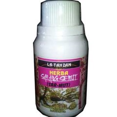 herba kapsul sarang semut