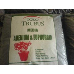 media tanam untuk adenium dan eupohorbia