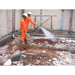 anti rayap ( termite control)