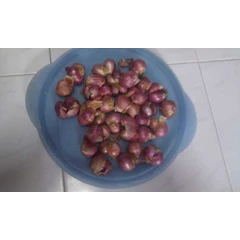 onion