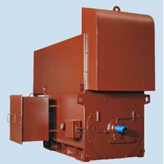 ac 3-phase high voltage motor