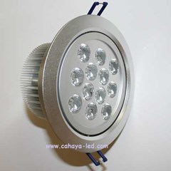 spotlight downlight 12 watt