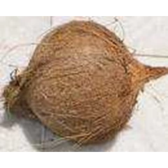 kelapa tua