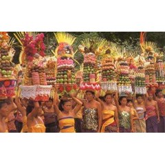 ubud-the cultural heart of bali tour
