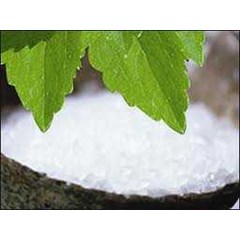 stevia ( pemanis alami )