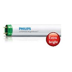 tld super 36w/ 865 philips