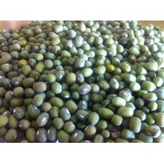 kacang hijau butek